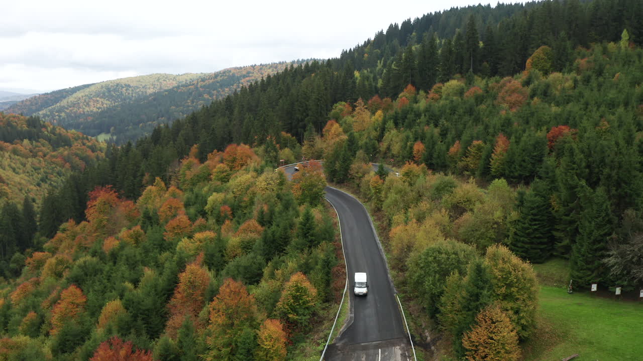 coches que viajan a lo largo de la carretera del campo forestal en otoño