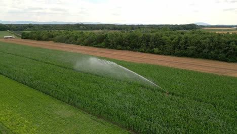 Pflanzenbewässerungssystem-In-Marchfeld-Feldern-In-Österreich---Drohnenaufnahme