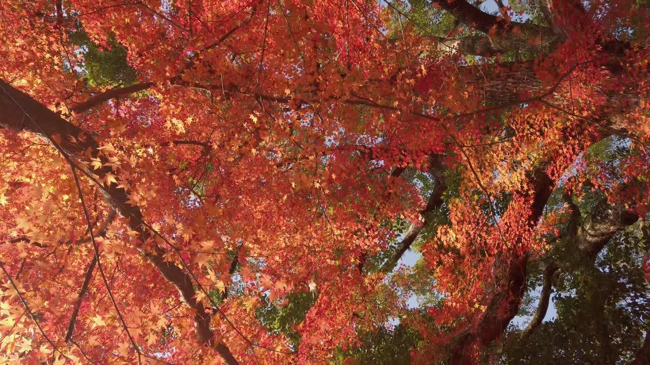 모래의 아름다움 백사장, 여름 해변 바다 경치에 거품이 있는 슬로우 모션 천연 바다 물결