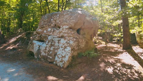 Großer-Bemooster-Felsbrocken-Mit-Löchern-Im-Wald-Fontainebleau-Frankreich