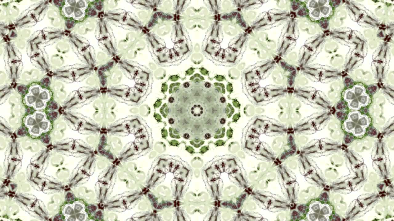 movimiento de caleidoscopio: círculos geométricos y formas de estrellas