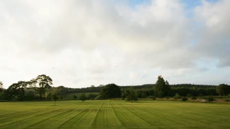 campo y cielo 00