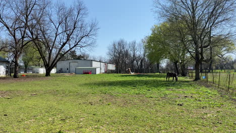 Farm-with-horse-and-shed