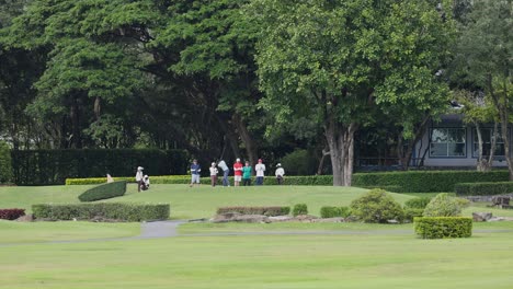 people jogging together in a green park.