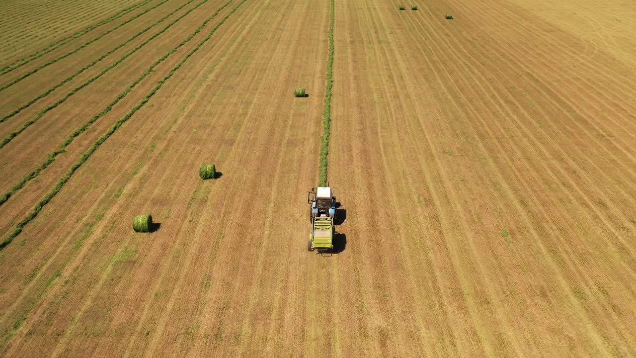 Splendida vista del campo e di un trattore che raccoglie l'erba. Lavori agricoli. Macchinari speciali che pressano l'erba verde in balle su uno sfondo naturale estivo. Vista aerea.