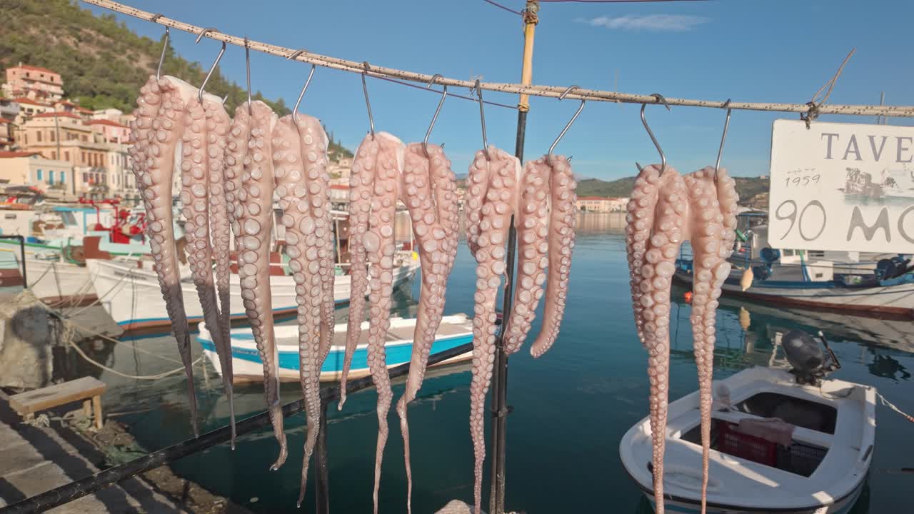 Octopus Drying at a Greek Taverna