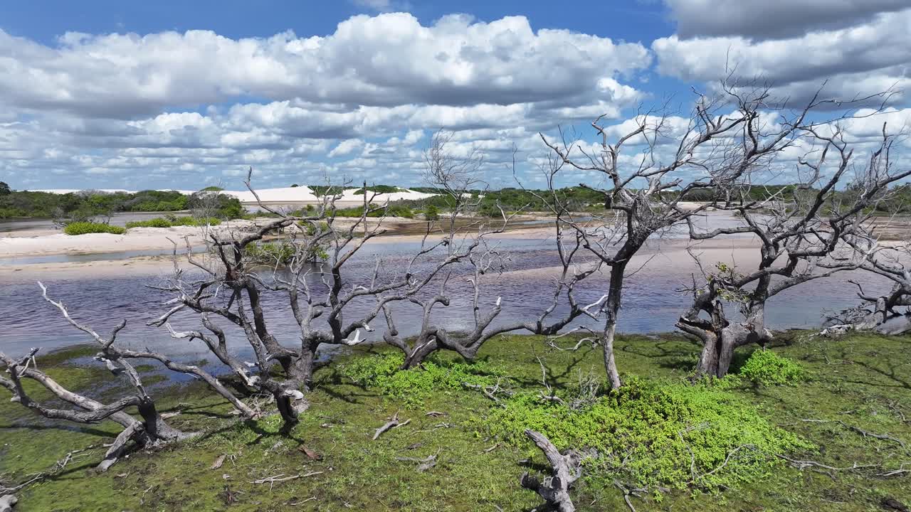 Betania Village At Santo Amaro In Maranhao Brazil. Beautiful Ecosystem. Bay Water Landscape. Betania Village In Maranhao. Dark River. Native Village. Tourism Travel. Brazil Northeast