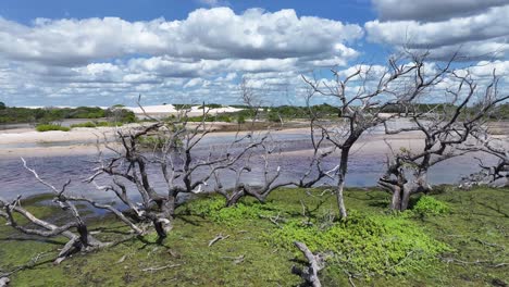 betania village at santo amaro in maranhao brazil. beautiful ecosystem. bay water landscape. betania village in maranhao. dark river. native village. tourism travel. brazil northeast