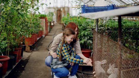 cheerful young woman and her curious daughter in aprons are watching caged rabbits on farm. domestic animals, cheerful people, life and farming concept.