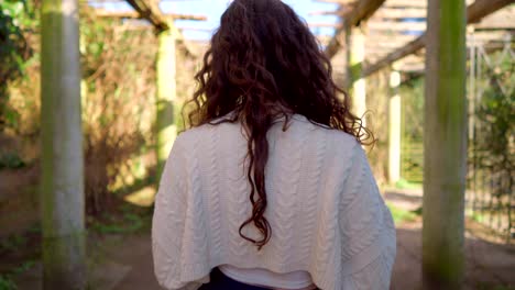 Back-of-a-beautiful-young-woman-with-curly-hair-walking-in-slow-motion-in-a-pergola,-wearing-classy-trousers-and-crop-top,-sun-beams-shining-through-the-wood