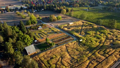 nosotros, oregon, phoenix - vuelo de drones sobre el laberinto de maíz de la granja de campos de faisanes establecido para el festival de la cosecha de otoño