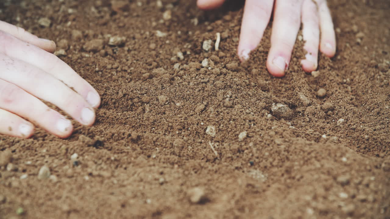 agricultor sosteniendo suelo en manos campo 1
