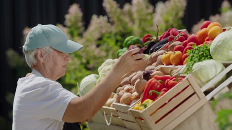 Elderly-woman-farmer-selling-vegetables-at-farmers-market.-Side-view