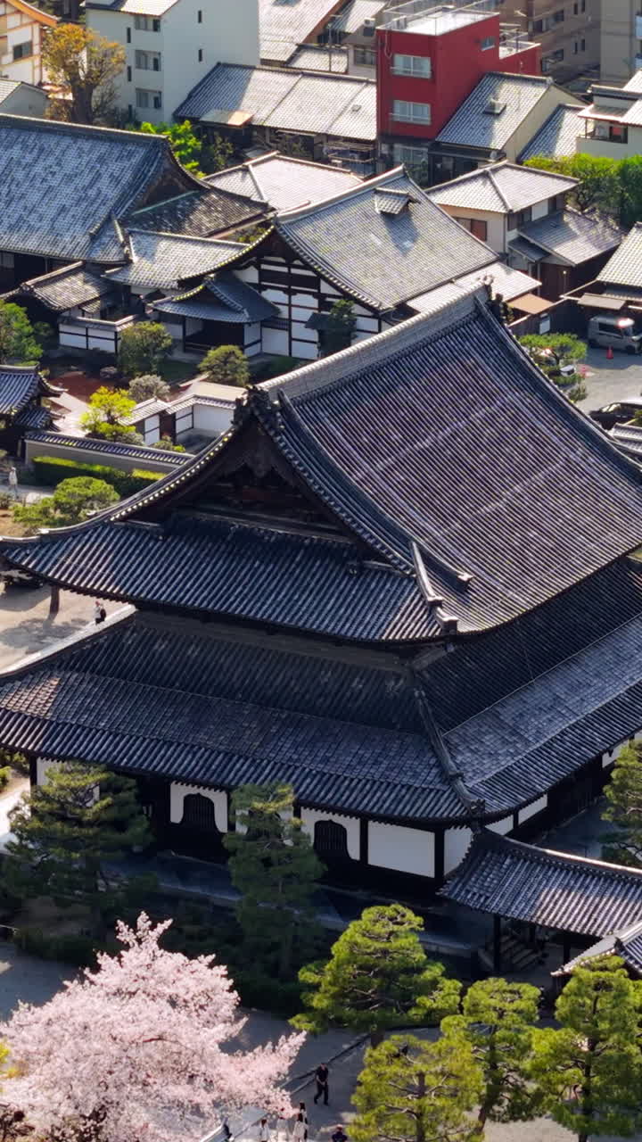 Aerial drone view of a temple surrounded by cherry blossom in Kyoto, Japan