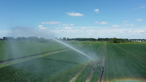 Double-rainbow-visible-in-the-spray-of-an-agricultural-sprayer