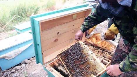 Bee-Farm-in-Central-Asia,-Kyrgyzstan