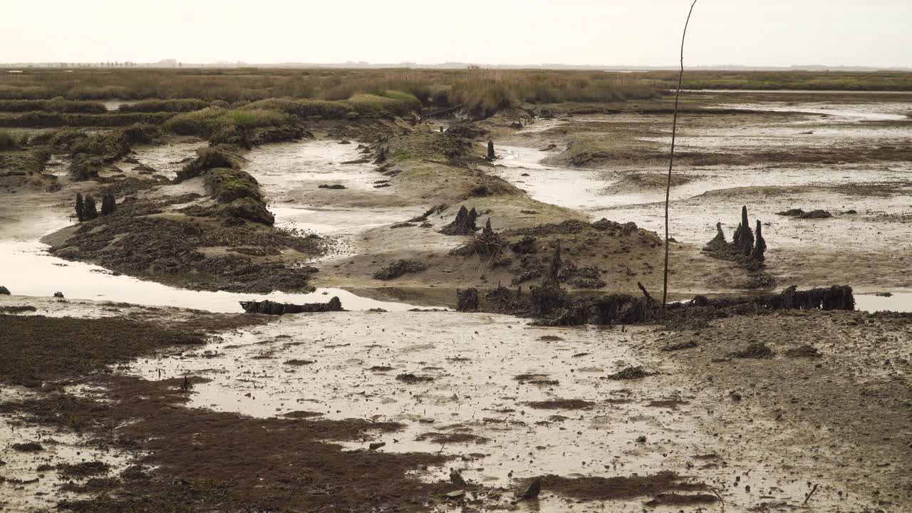lecho de río fangoso de 4k en marea baja con un poco de agua que fluye río abajo hacia el océano