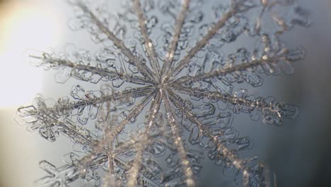 Cristales-De-Hielo-De-Copo-De-Nieve-Dendritas-Estelares-Bajo-El-Microscopio-Macro-Gran-Aumento-De-Cerca