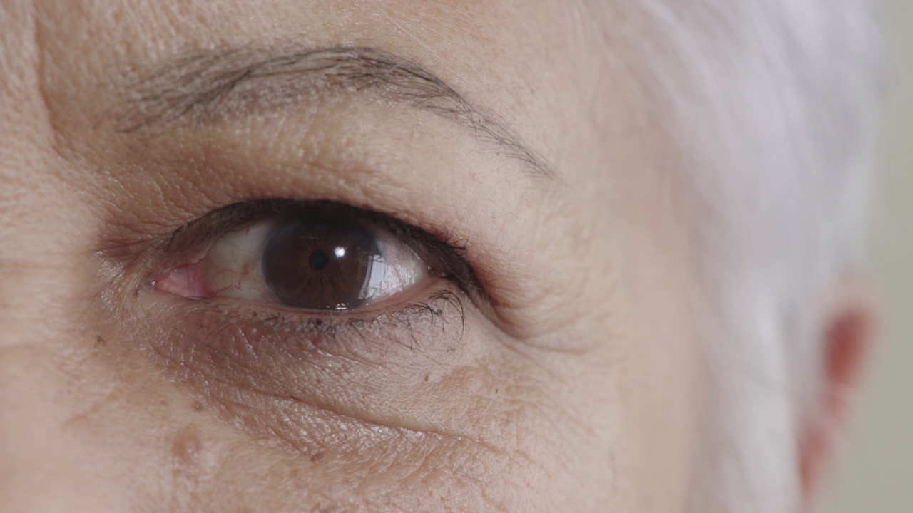 가까이 서 있는 중년 인디언 여성 눈을 뜨고 카메라를 쳐다보고  ⁇ 박이는 사려 깊은 카메라를 쳐다보고 건강한 시력