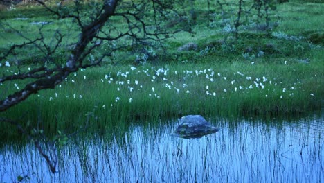 Tranquilo,-Pacífico,-Increíble-Momento-En-La-Laponia-Noruega