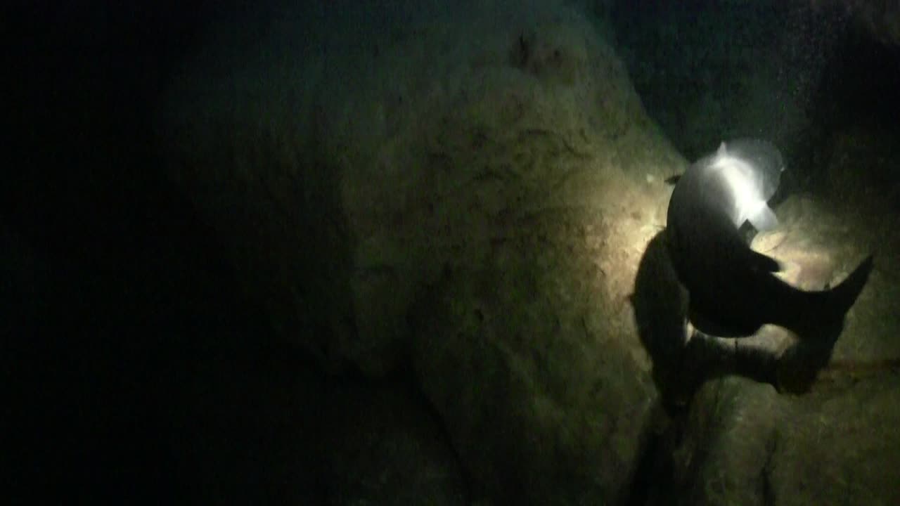 탐조등을 사용하여 물고기를 따라가는 동굴 잠수부