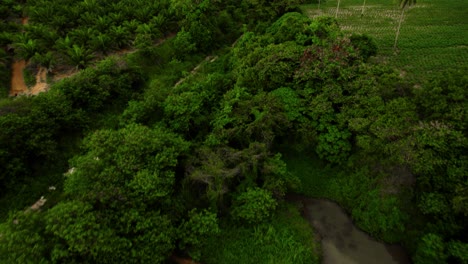 Asiatische-Ländliche-Landschaft-Mit-Fluss-Und-Einfahrt,-Die-Mit-Drohne-Aufgenommen-Wurden