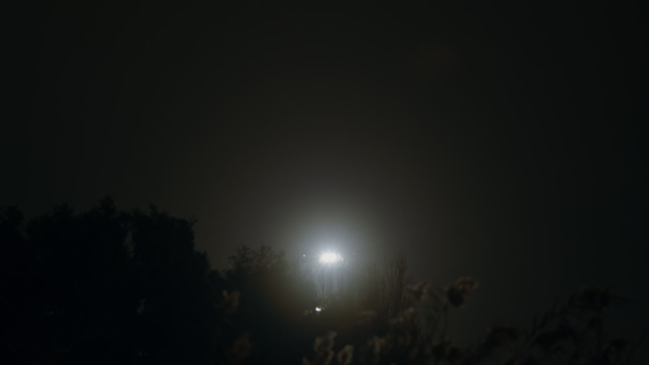 밤에 안개 속에서 밝은 빛