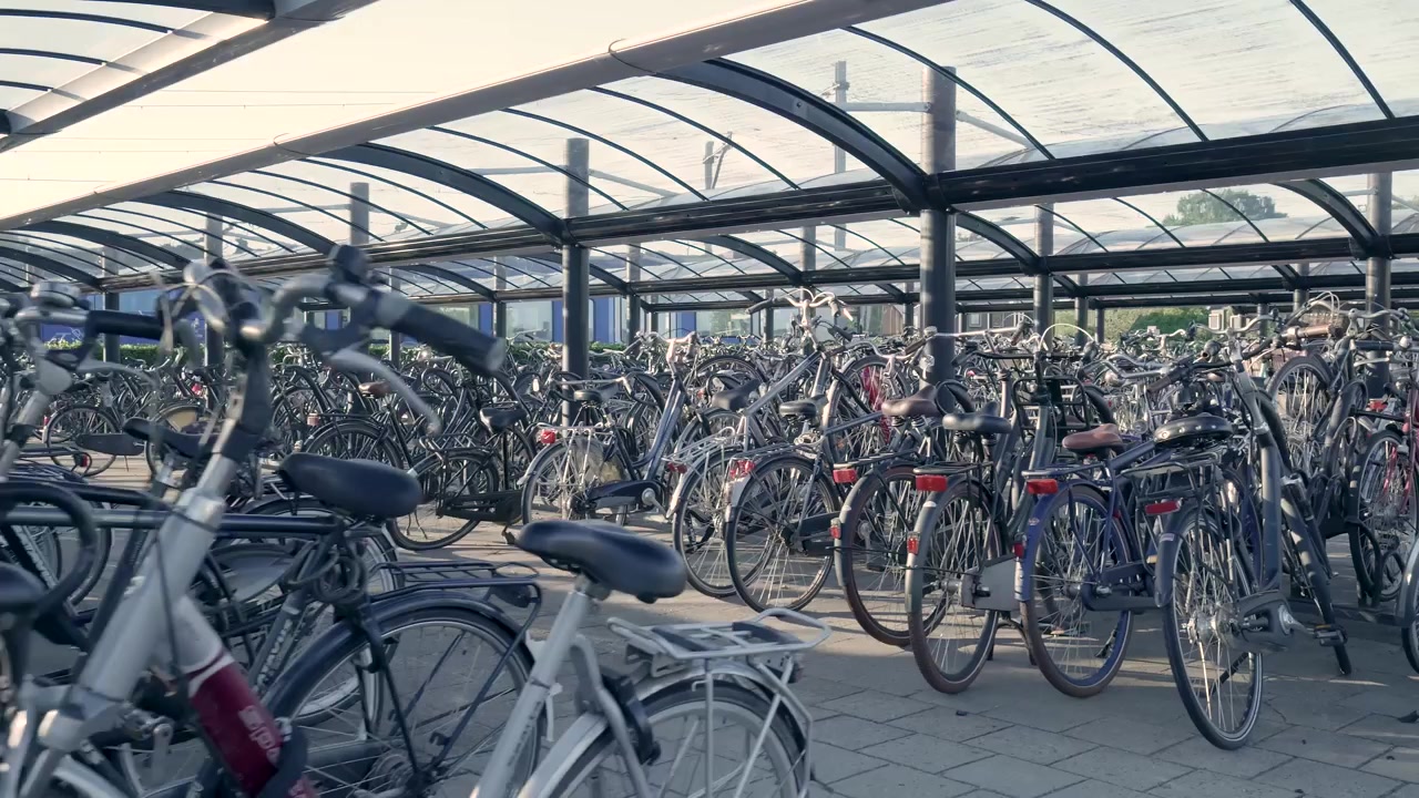 Rader av cyklar parkerade i ett täckt utomhusställ.