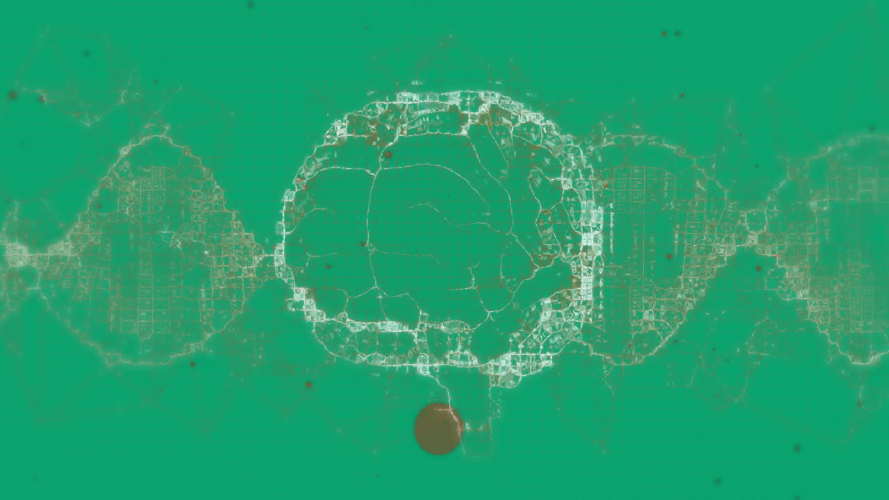 Animation of brain and shapes on green background