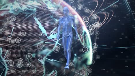 Animation-of-human-body-model-walking-over-light-trails-over-spinning-globe-on-black-background