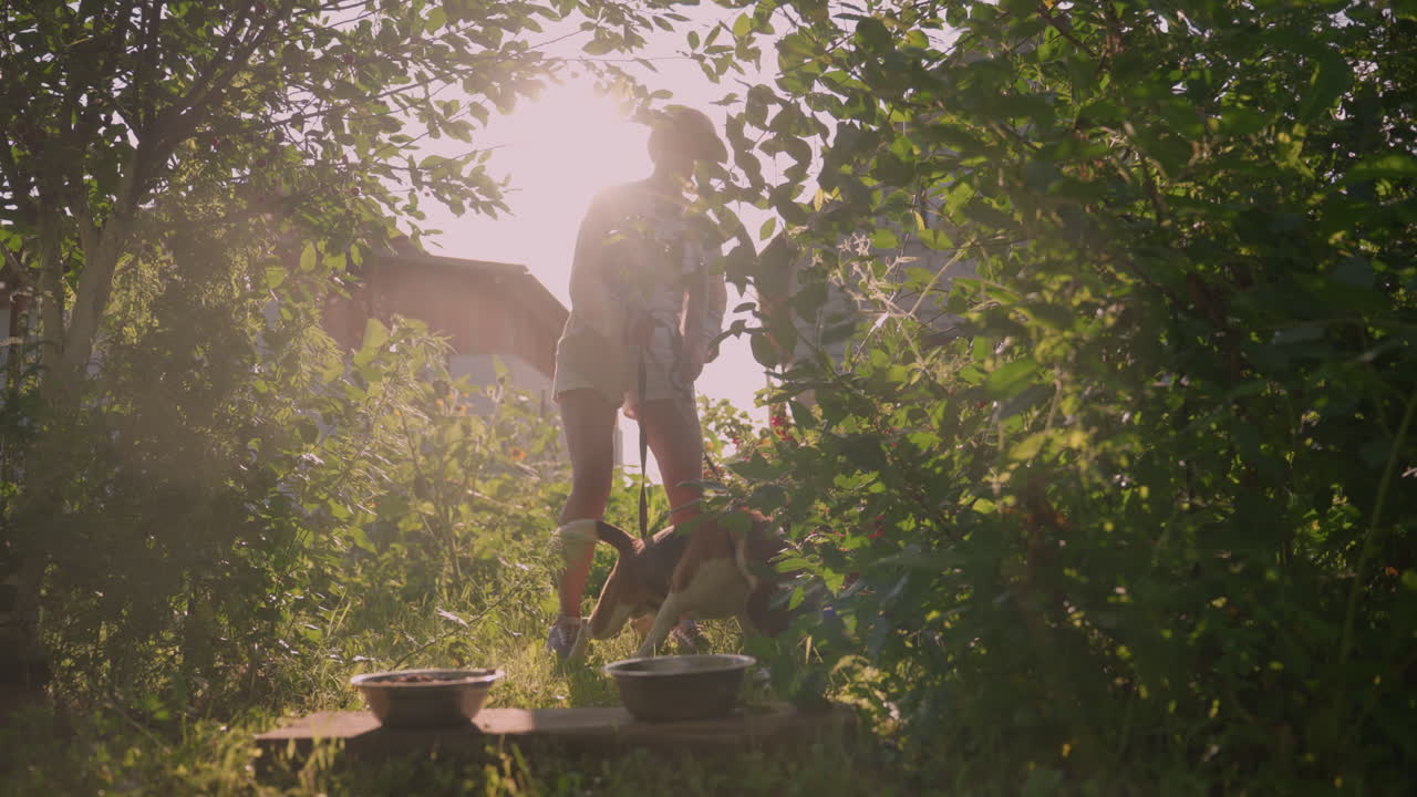 개 주인이 밖에서 서서 줄을 잡고 개가 앞으로 움직이려고 할 때, 그녀는 두 개의 금속 그을 나무판 위에 놓고, 그 앞에 초록색으로 둘러싸고 있습니다.