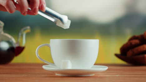 adding sugar cubes to a teacup