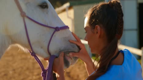 Médico-Veterinario-Revisando-El-Caballo-4k