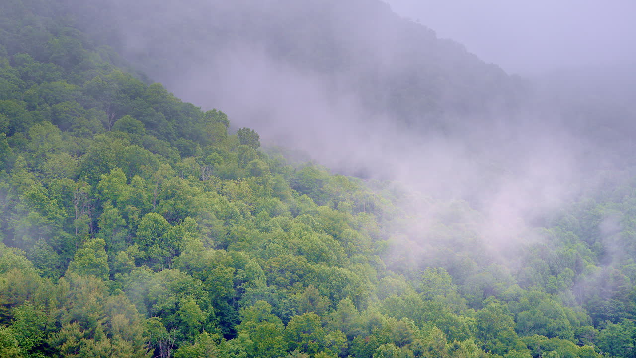 Cinematic aerial clip soaring across a hush-quiet, mist-coated valley