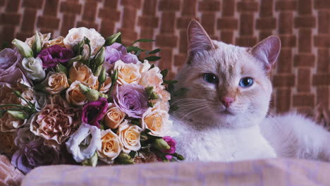 un lindo gato con ojos azules se encuentra cerca de un hermoso ramo en la silla