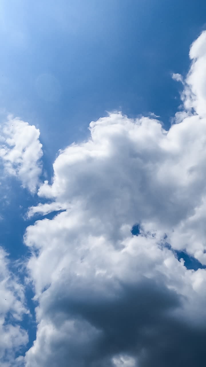 White and grey clouds transforming quickly in the blue sky. Sunny day cloudscape timelapse from low angle view. Vertical video
