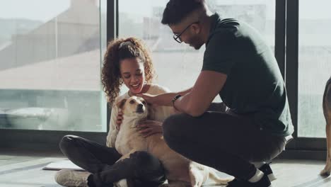 4k video footage of a handsome young man bonding with a newly adopted dog at the animal shelter