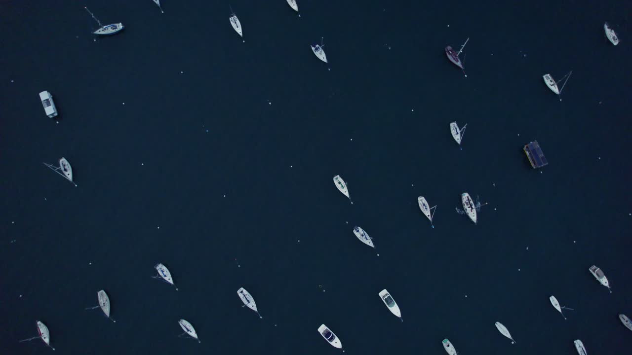 Rotating top-down drone shot of boats anchored in neat rows on deep blue water, forming a hypnotic and minimalist composition.