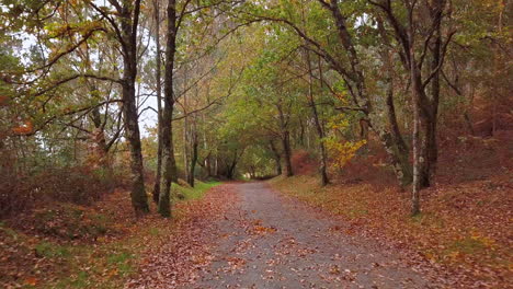 Aerial-Shot-on-Path-of-Camino-de-Santiago-The-Way-of-St-James-in-Spain