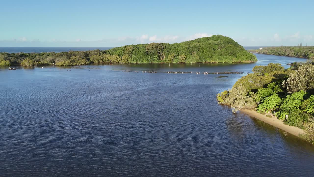 Drone captures birds wading and fishing in a serene river landscape, surrounded by lush greenery and calm waters