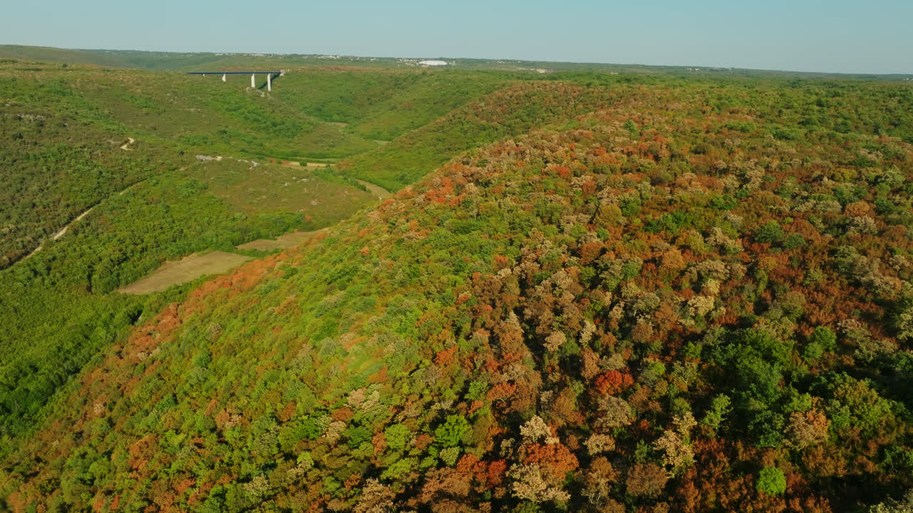 bosque quemado por el sol, sequía de verano bosques dañados en el sur de europa - vista aérea