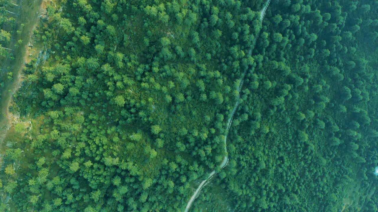 imágenes de drones en 4k, vista aérea de patriata murree, paisaje de bosque de pinos verdes exuberantes y ascensor de sillas patriata, nuevo murree, punjab, pakistán, videos de bosque en 4k.