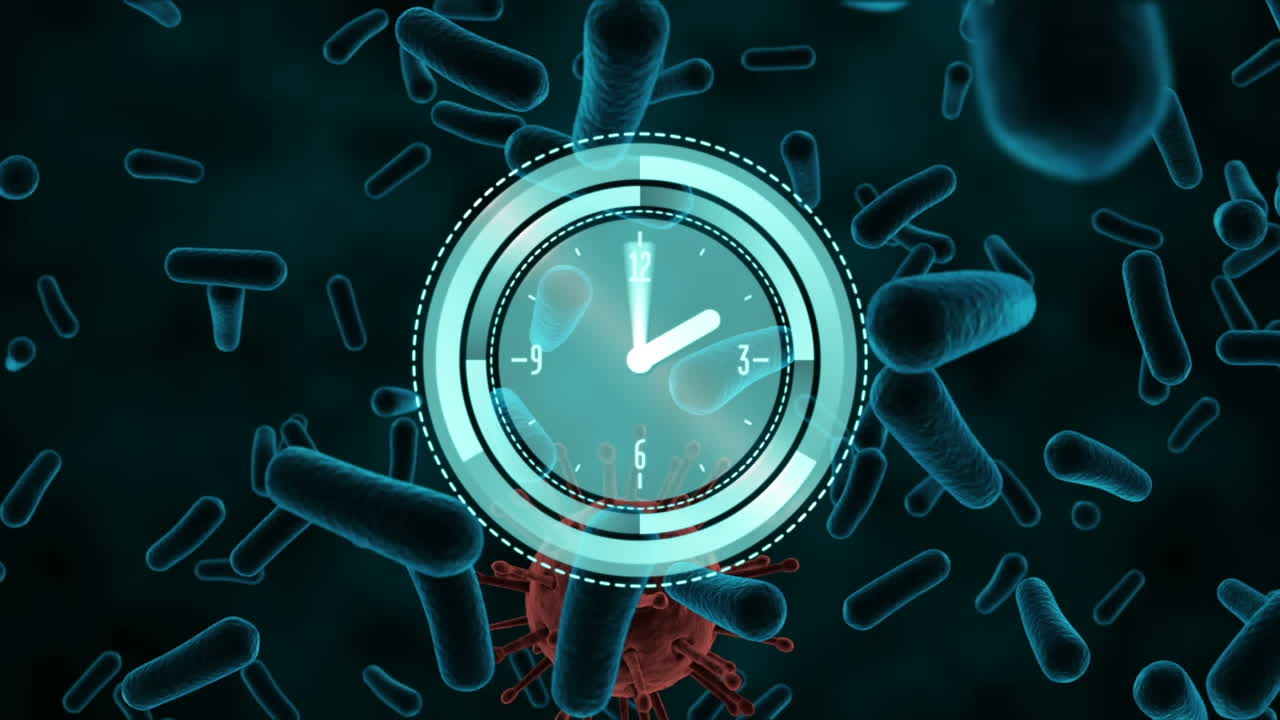 혈액 세포와 코비드 세포에 대한 시계 및 스 스캔의 애니메이션