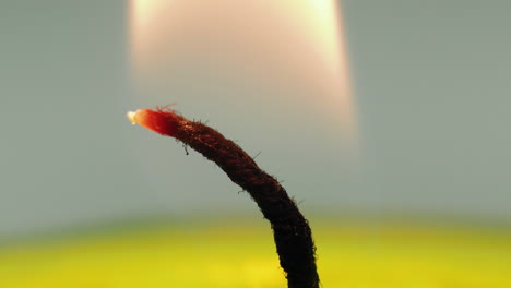 extreme close up studio shot of wick of candle burning with white flame, background