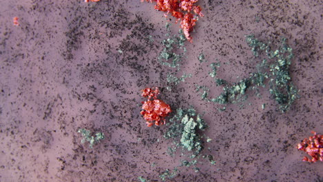 close-up of colourful eyeshadow pigments
