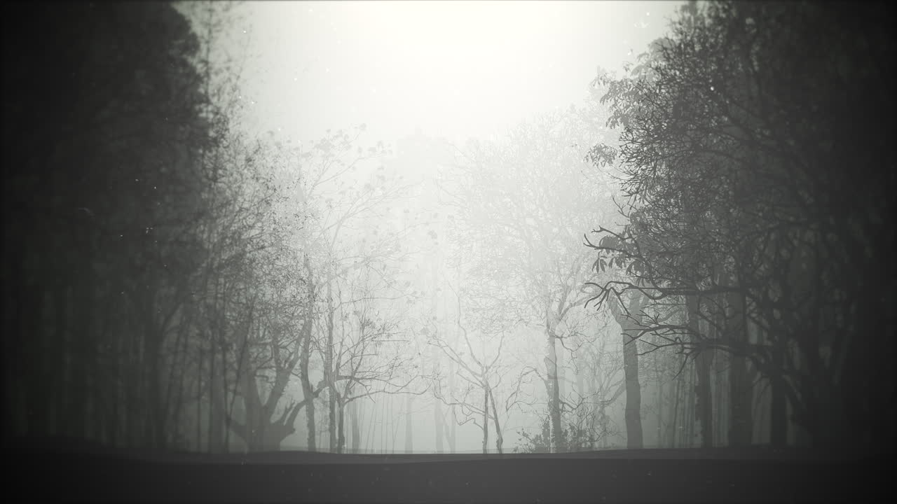 fondo místico de halloween con bosque oscuro y niebla