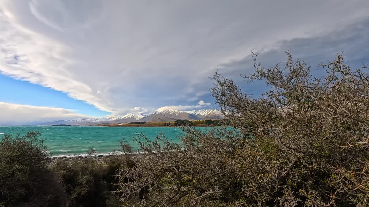 Wind gusts shake thistle bushes in the foreground while turquoise Lake Tekapo and snow-capped mountains sit beneath swirling, overcast winter clouds. Handheld camera, natural light
