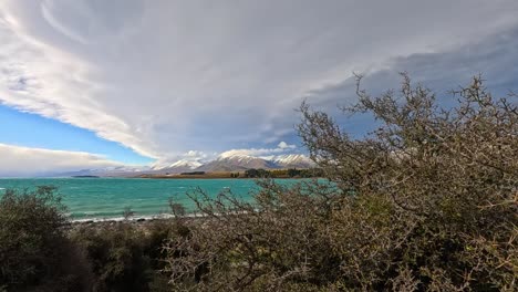 wind gusts shake thistle bushes in the foreground while turquoise lake tekapo and snow-capped mountains sit beneath swirling, overcast winter clouds. handheld camera, natural light