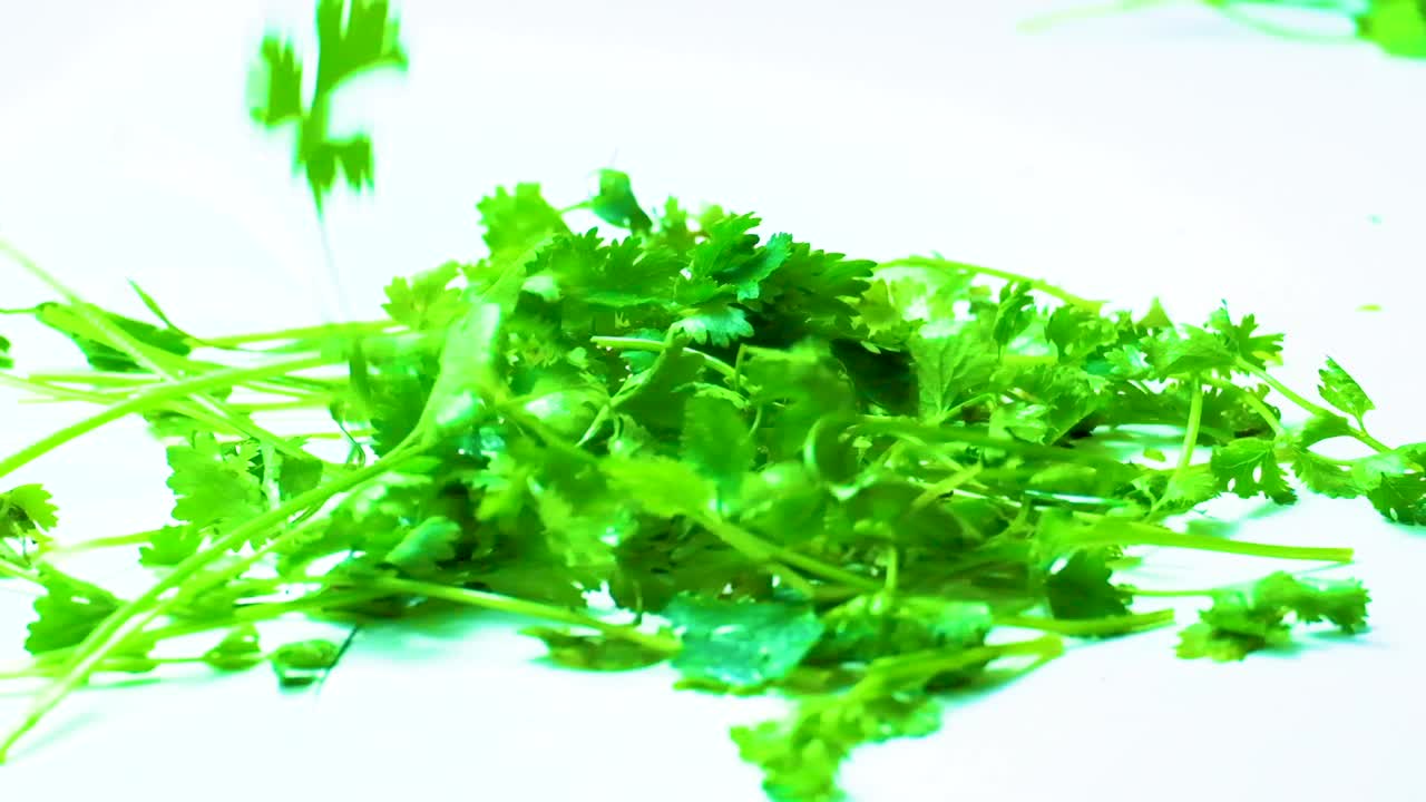 imágenes en cámara lenta de cilantro verde brillante cayendo con gracia