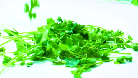 Imágenes-En-Cámara-Lenta-De-Cilantro-Verde-Brillante-Cayendo-Con-Gracia